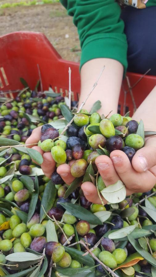 Agriturismo La Ginestrella Civitella D'Arna Εξωτερικό φωτογραφία